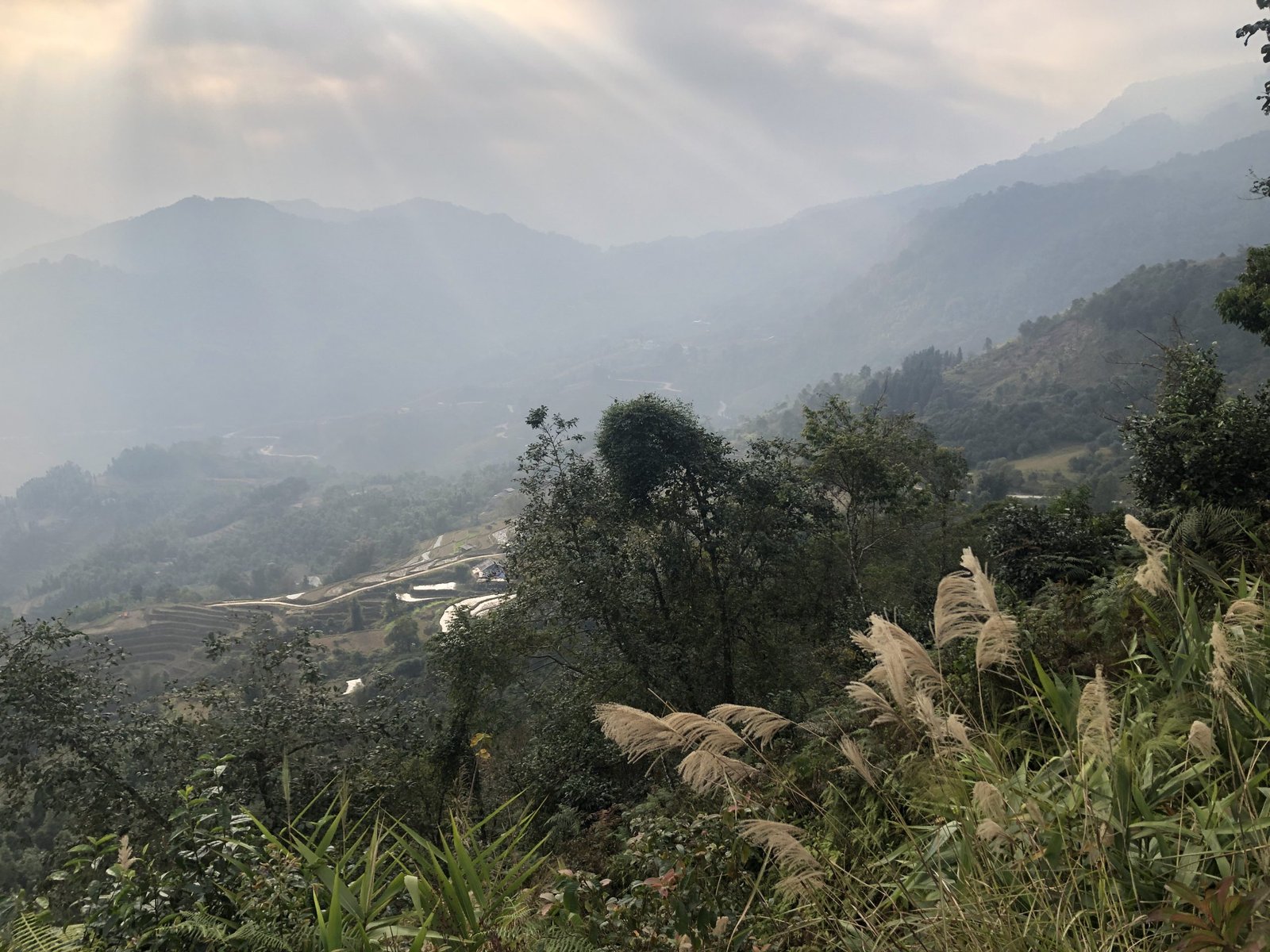 7-Day Hoang Su Phi Bike Trip: Terraced Rice Fields & Ethnic Village Immersion